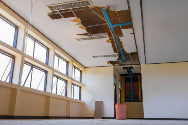 Best Commercial water damage restoration  in Westland, MI