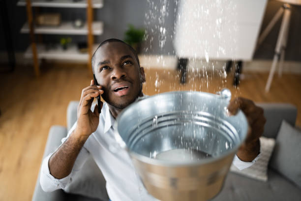 Best Flood damage cleanup  in Westland, MI