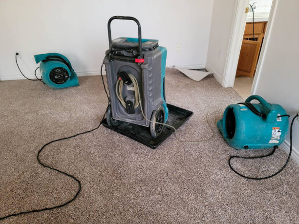 Best Professional water damage repair  in Westland, MI