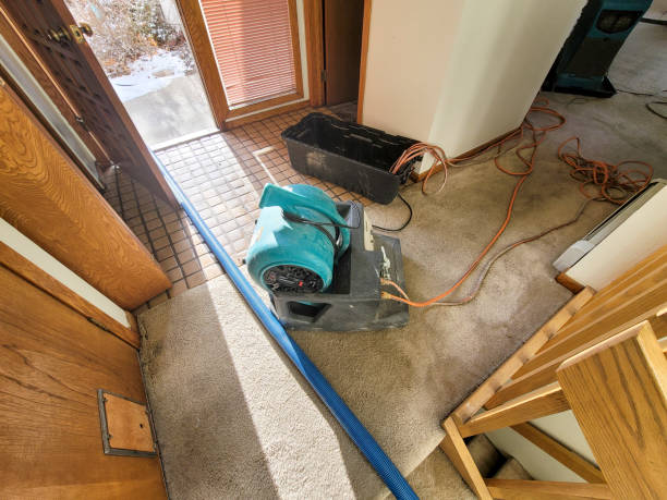 Best Fire Damage Restoration  in Westland, MI