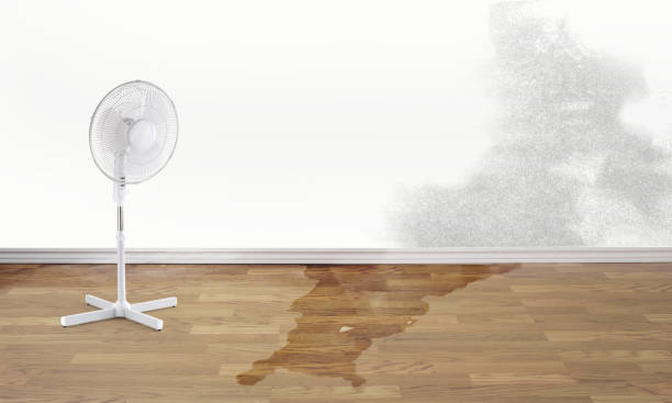 Best Fire Damage Restoration  in Westland, MI