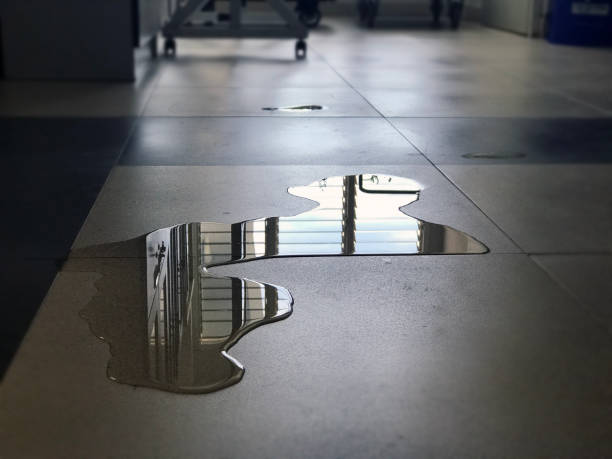 Best Water damage restoration near me  in Westland, MI
