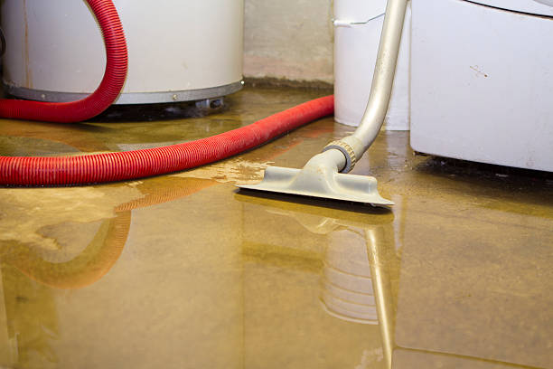 Best Sewage cleanup and water damage restoration  in Westland, MI