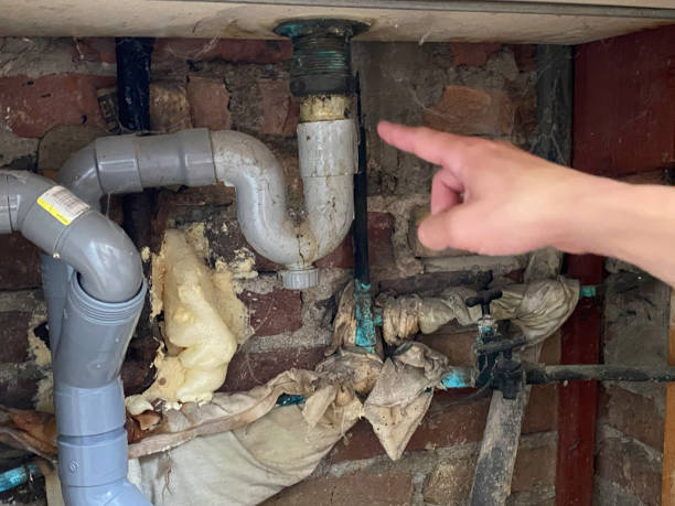 Best Water damage restoration process  in Westland, MI