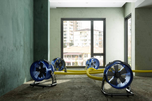Best Water damage restoration near me  in Westland, MI